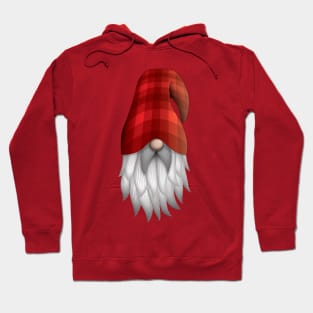 Tomte Hoodie